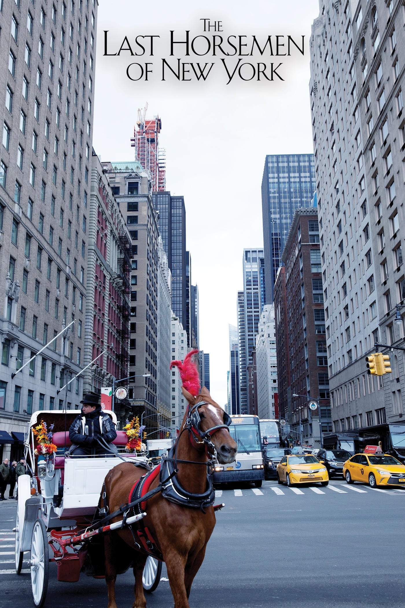 Постер The Last Horsemen of New York